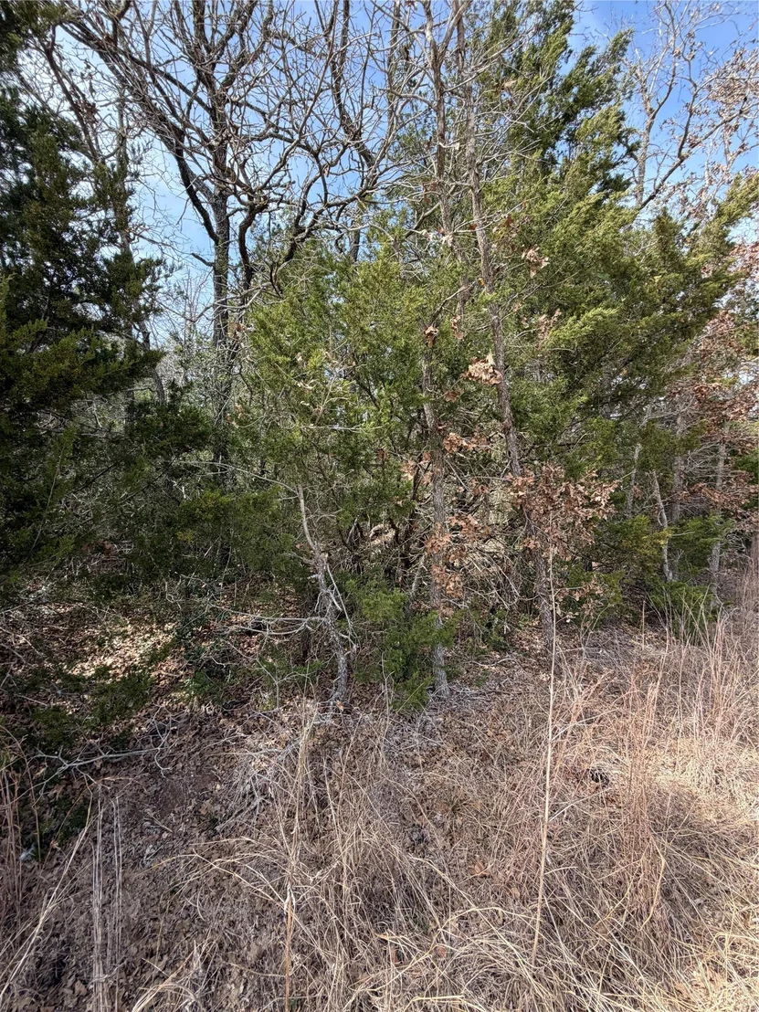 Photo of Lot 20 Flint Ridge ST