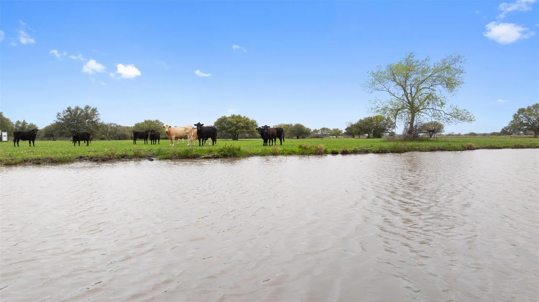 Photo of 778 County Road 123