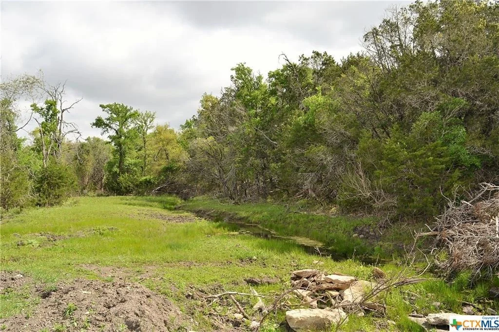 Photo of 1290 County Road 4765