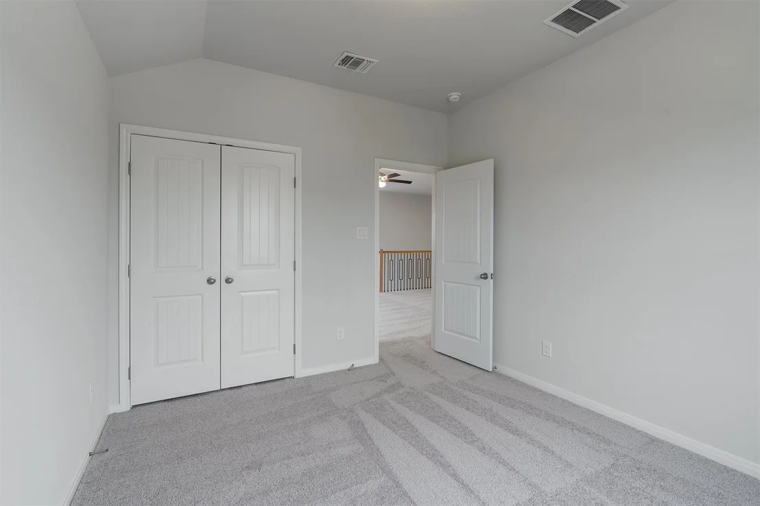 Photo of 313 Stellar Wind DR