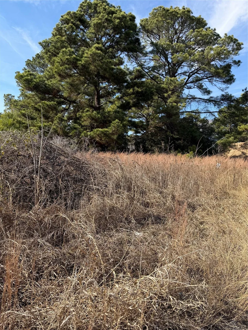 Photo of Lot 20 Indian Oak DR