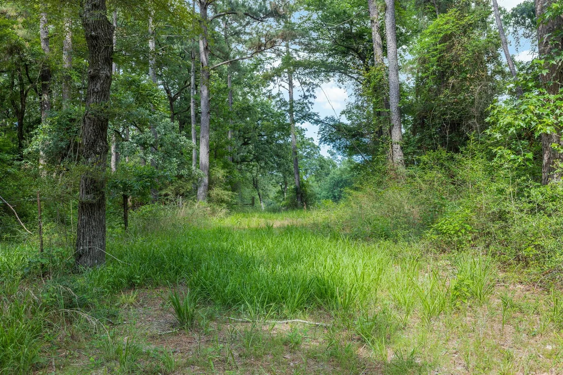Photo of 5772 PR 2065