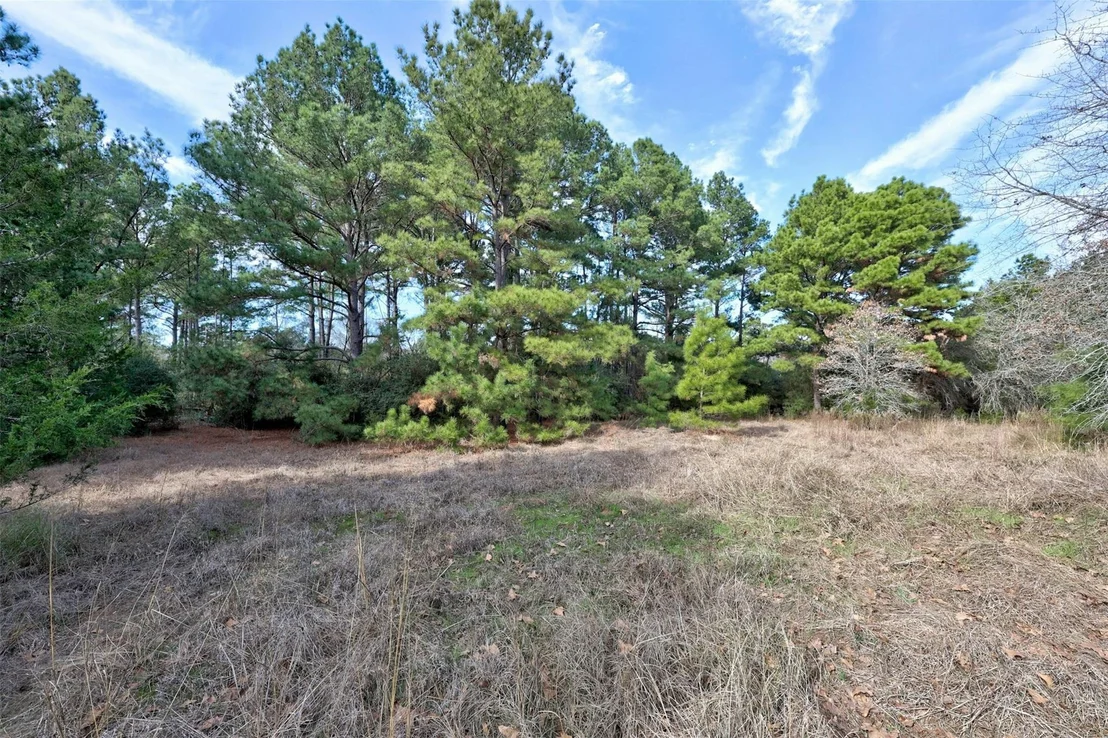 Photo of 888 Pine Valley LOOP