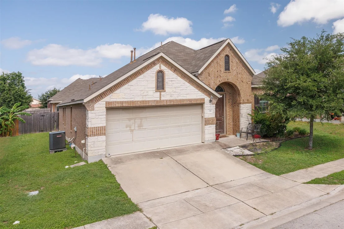 Photo of 258 Snow Owl HOLW