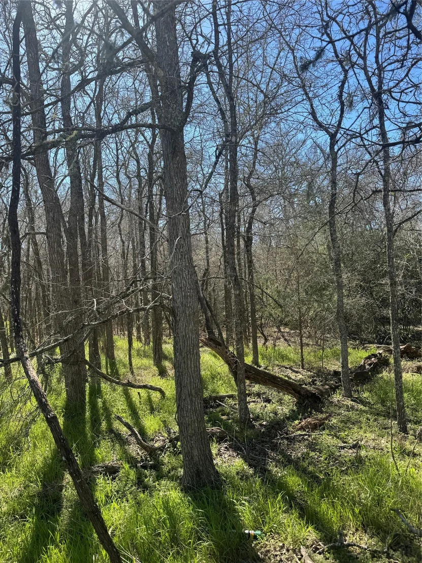 Photo of Lot 321 Kolekole LN