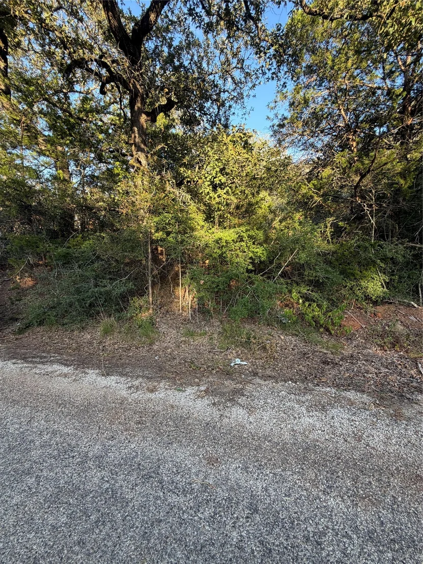 Photo of Lot 194 Kaelepulu DR