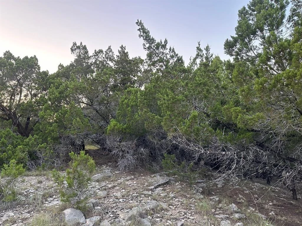 Photo of 21309 Mount View DR