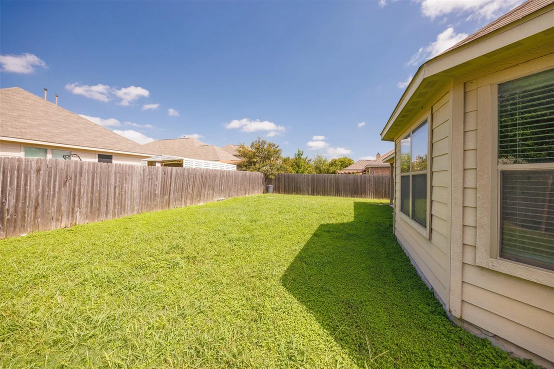 Photo of 258 Snow Owl HOLW
