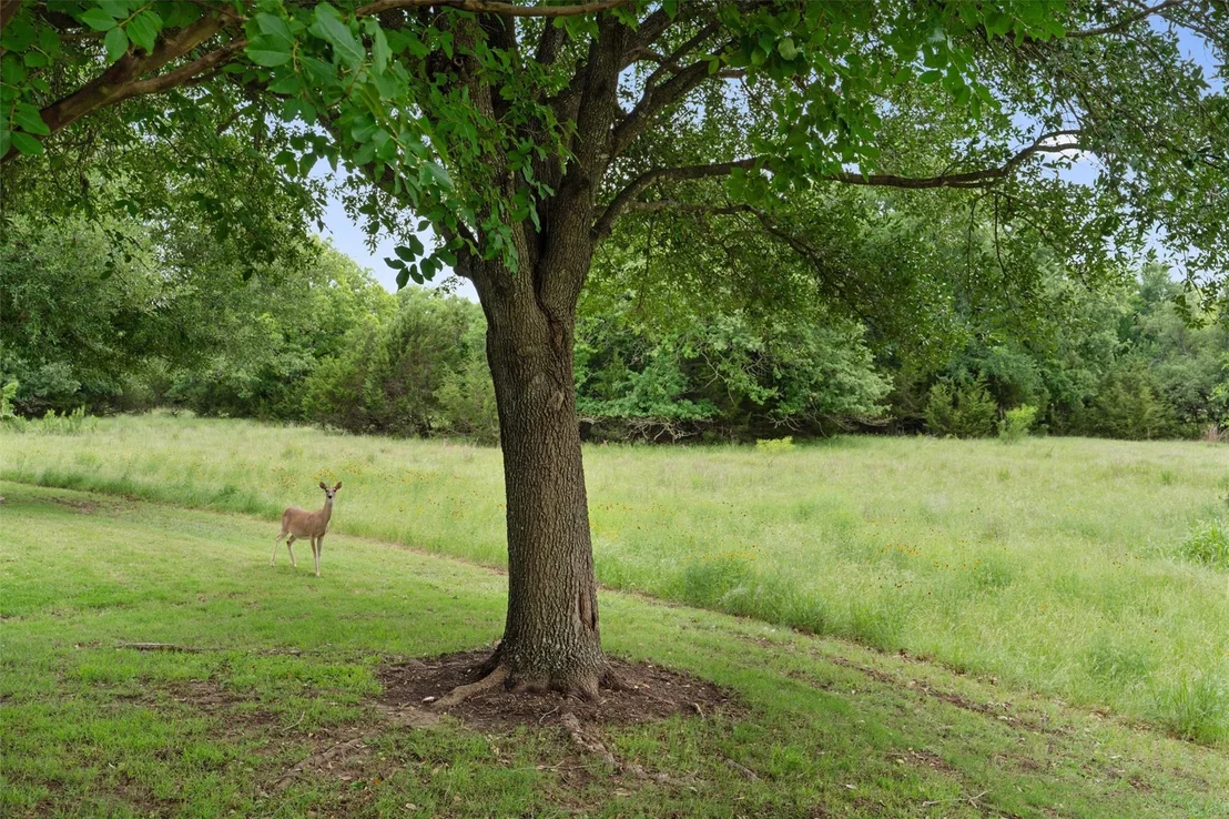 Photo of 233 Crockett LOOP