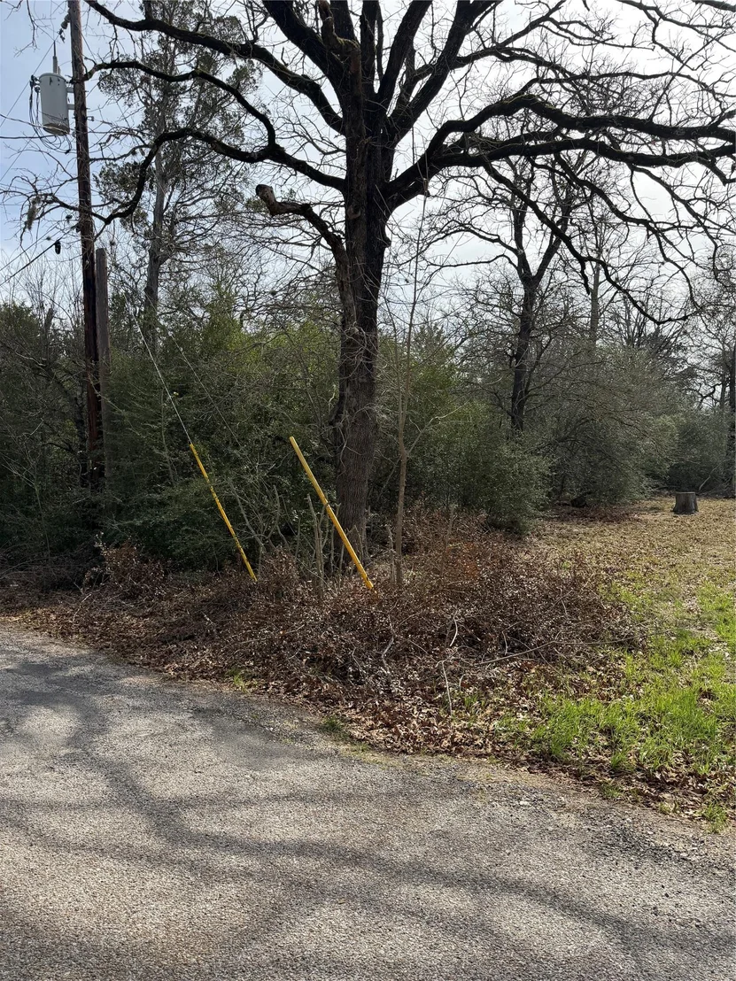 Photo of Lot 20 Flint Ridge ST