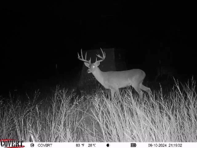 Photo of 00 Quail Run DR