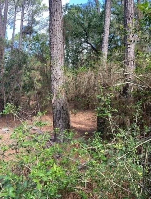 Photo of Lot 93 Papawai DR