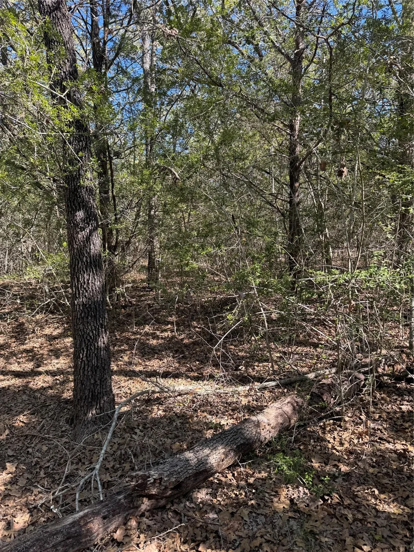 Photo of Lot 195 Kaelepulu DR