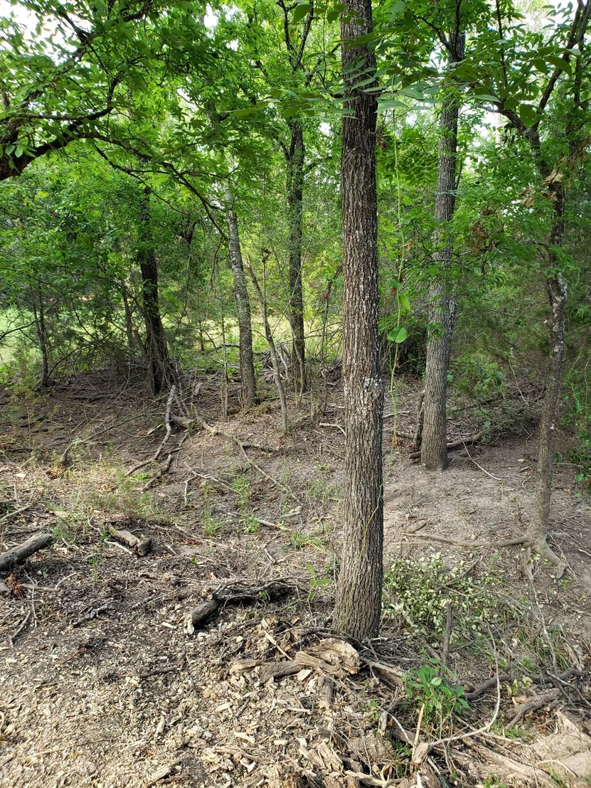 Photo of Lot 44 County Road 3640