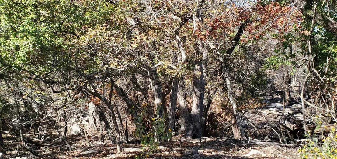 Photo of 5500 Cliff LN