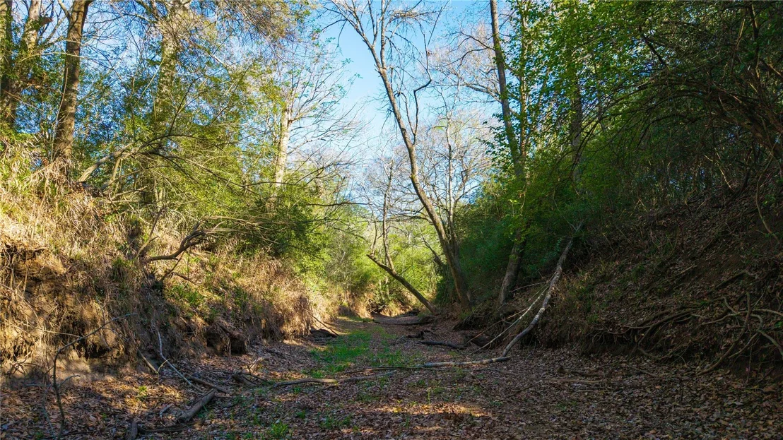 Photo of 1700 County Road 216