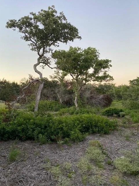 Photo of TBD County Road 252