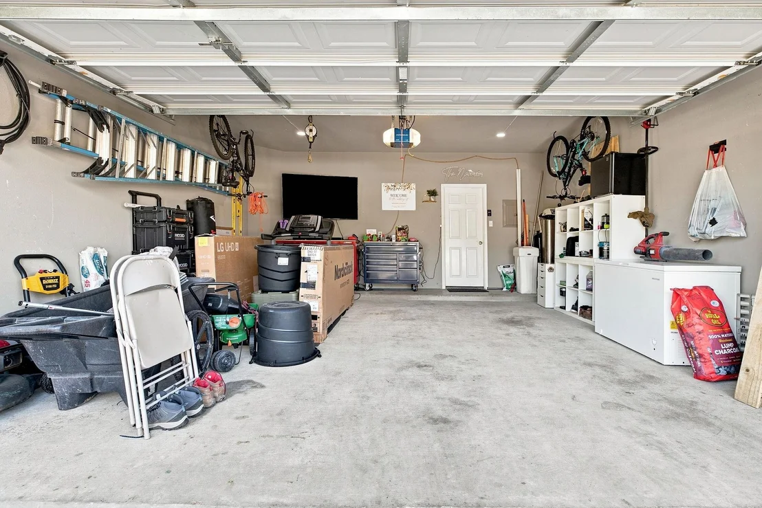 Photo of 100 Wild Cat DR