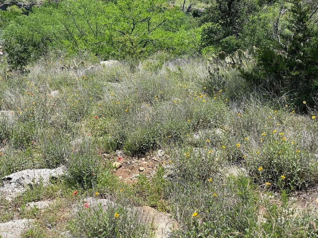 Photo of 4207 Three Creek TRL