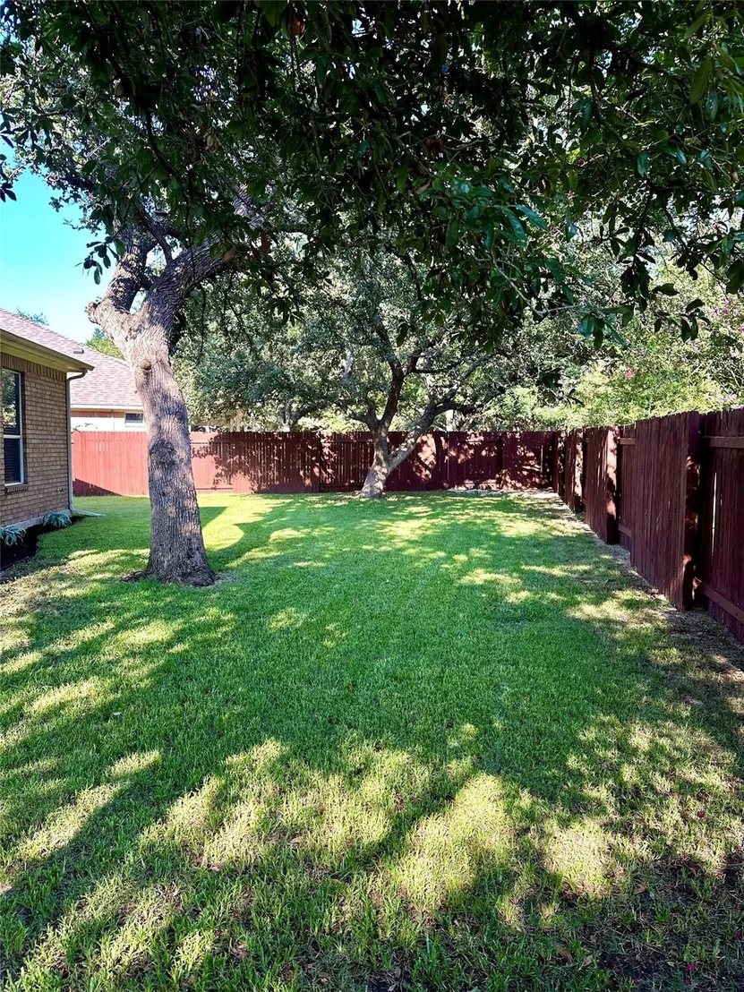 Photo of 3736 Pine Needle CIR