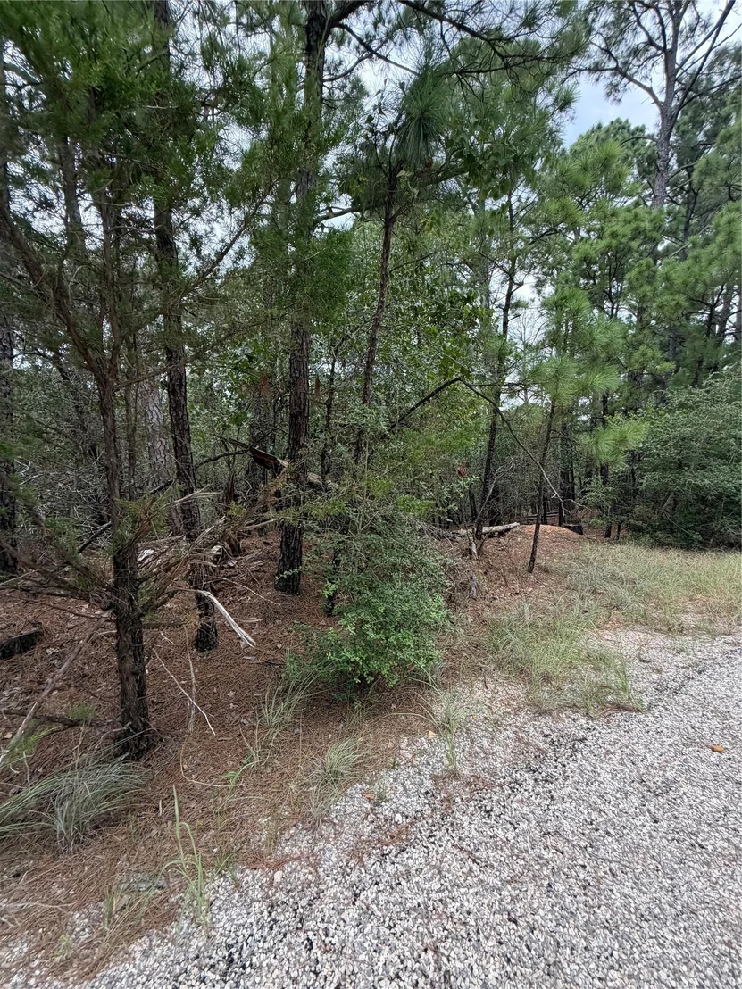 Photo of Lots 216 and 217 Hekili DR