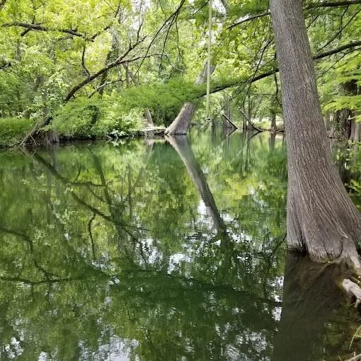 Photo of 202 Shallow Springs DR