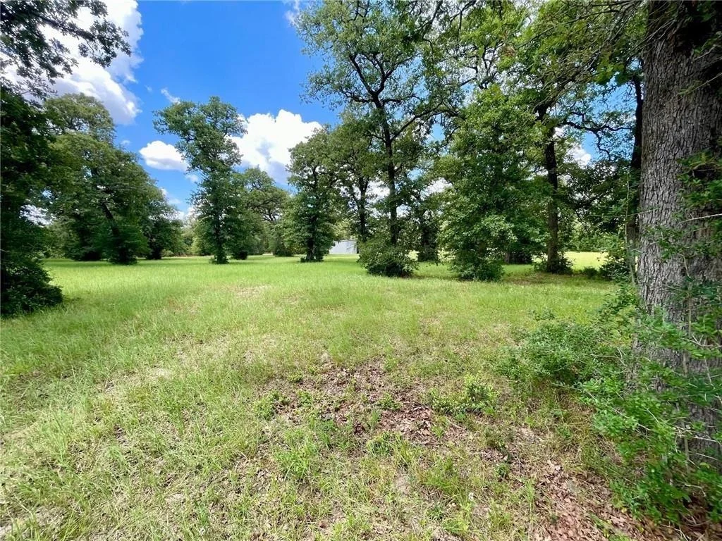 Photo of 10571 County Road 321