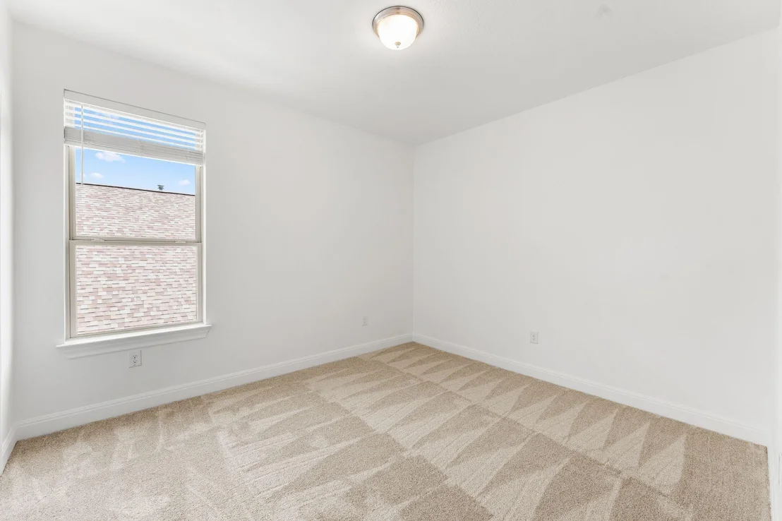 Photo of 226 Orange Mimosa LN