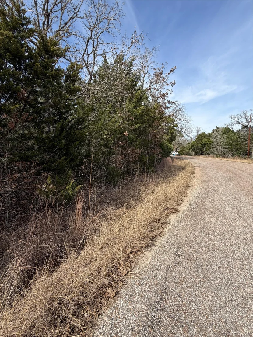 Photo of Lot 21 Flint Ridge ST