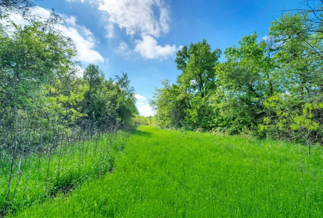 Photo of 4201 County Road 463