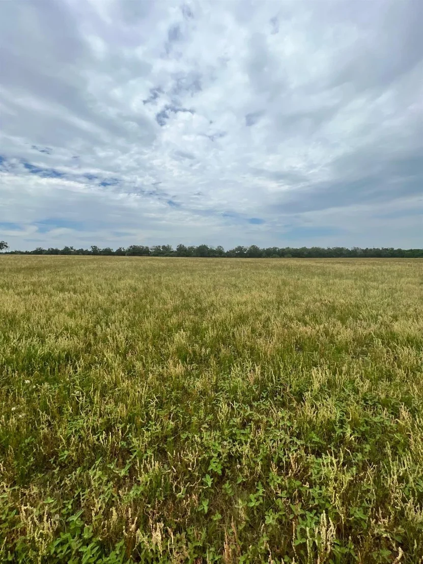 Photo of TBD2 Davis RD