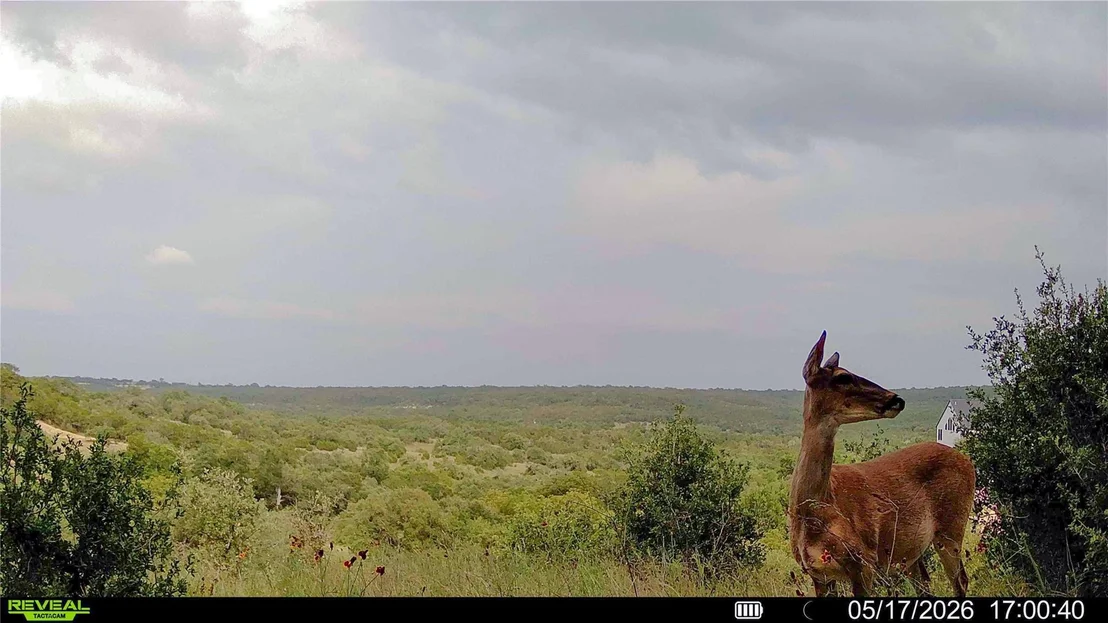 Photo of 0 Trails End RD