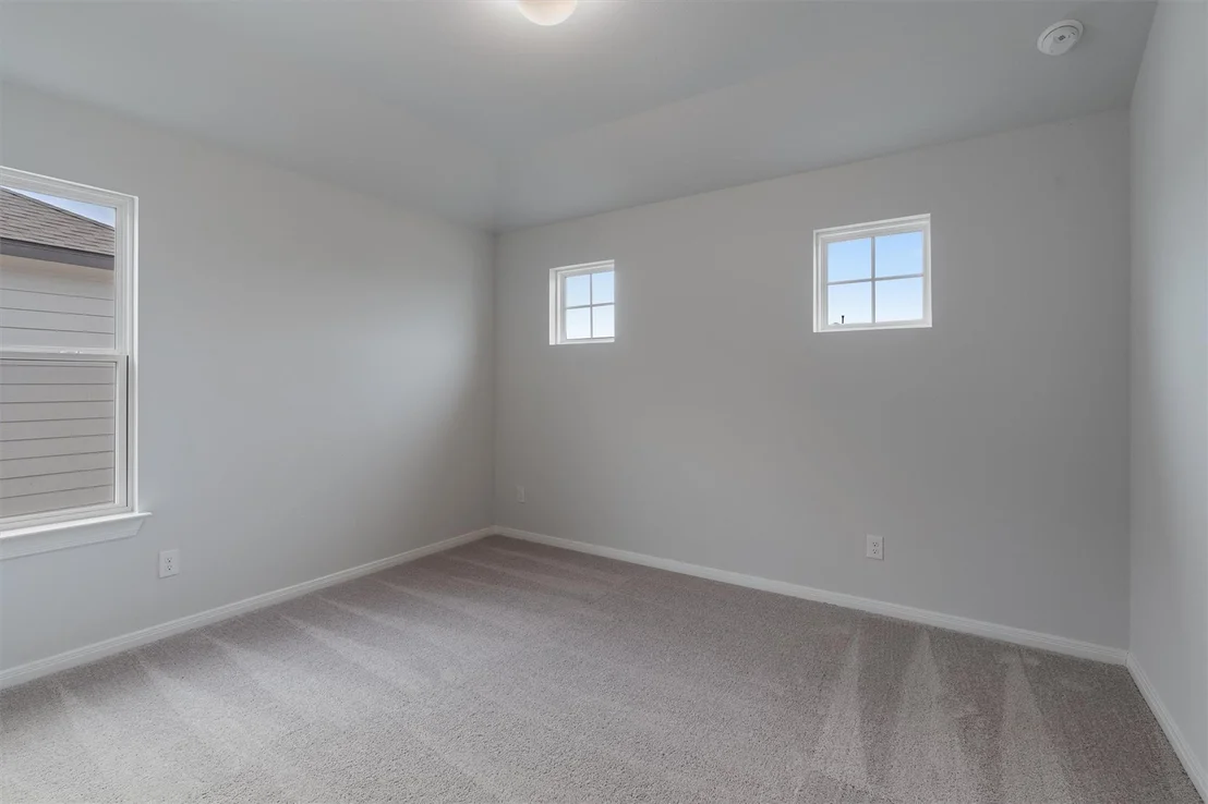 Photo of 313 Stellar Wind DR