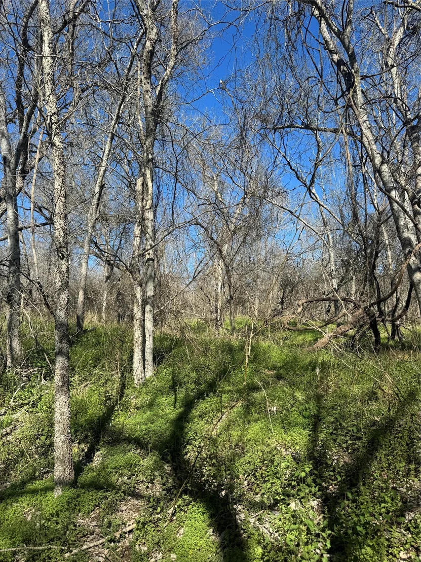 Photo of Lot 961 Riverside DR