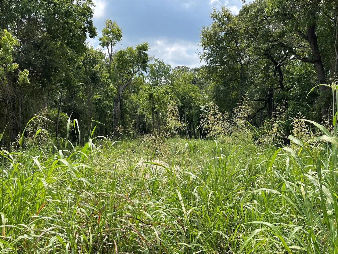 Photo of 1300 Cypress Trail LOOP