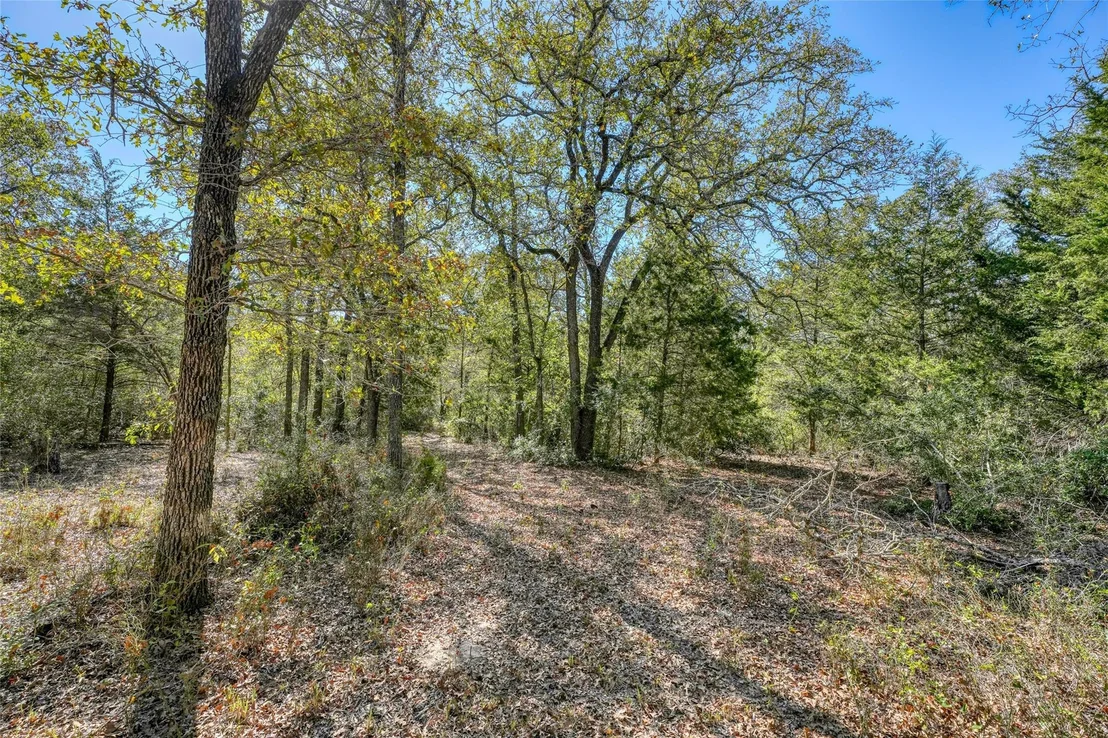 Photo of 395 Private Road 4126