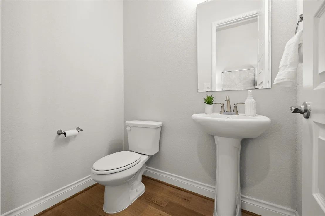 Photo of 216 Indian Grass CV