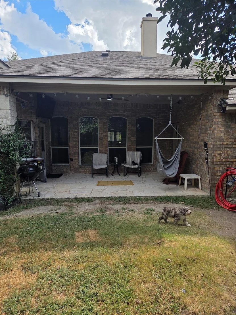 Photo of 2102 Spotted Owl CIR
