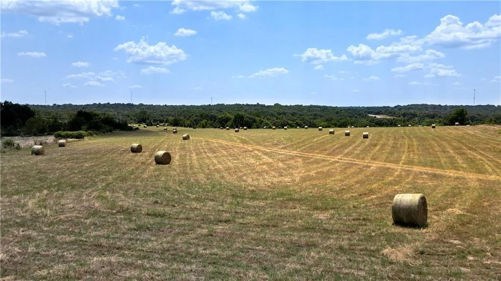 Photo of TBD LP 7