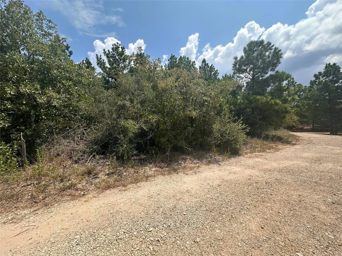 Photo of LOT 42 Hereford LN