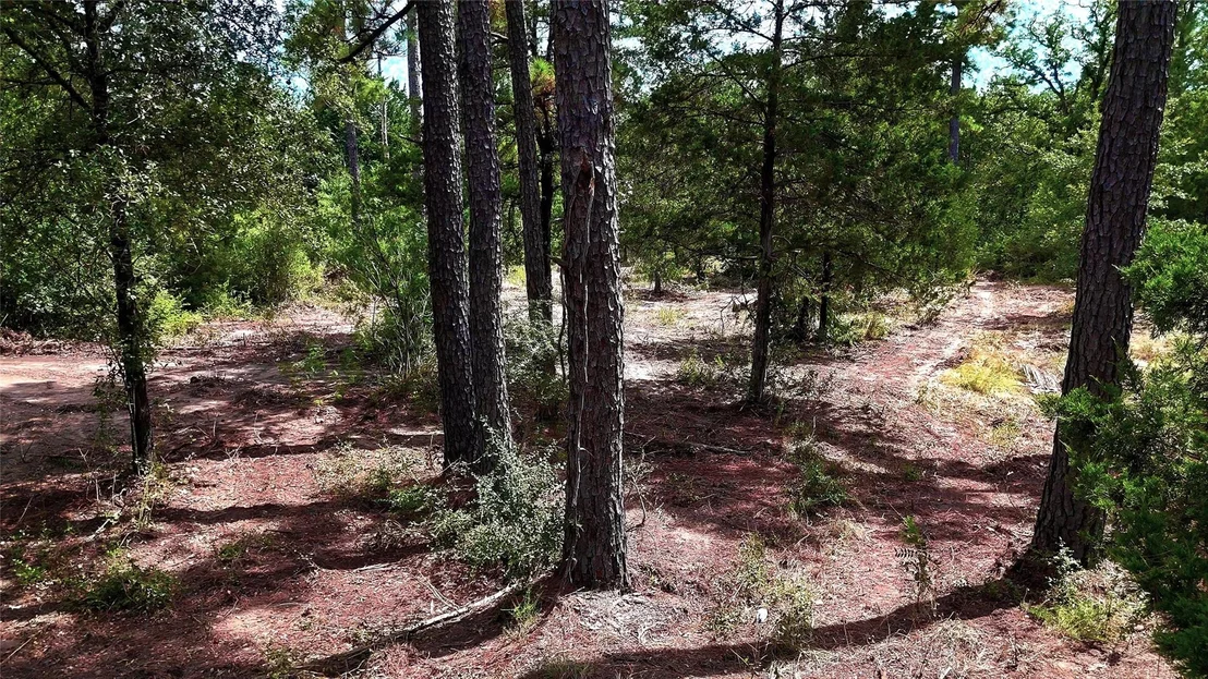 Photo of TBD Modock DR