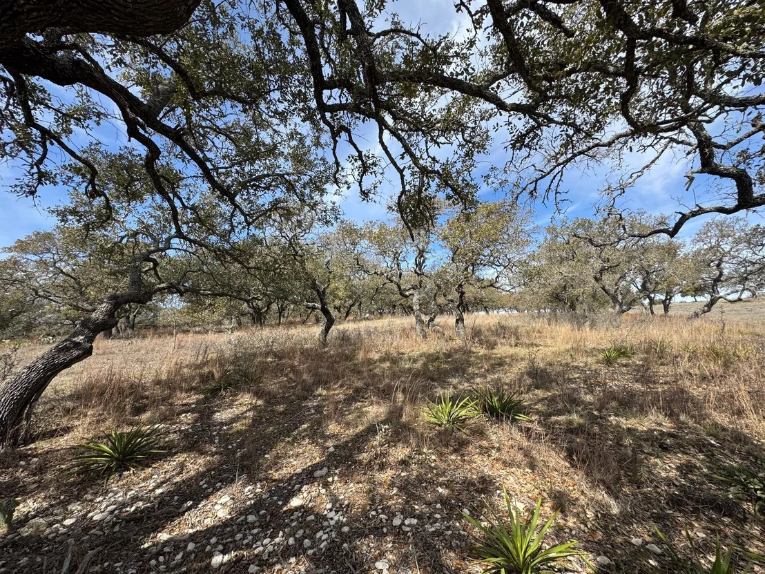 Photo of Lot 46 Eland LN