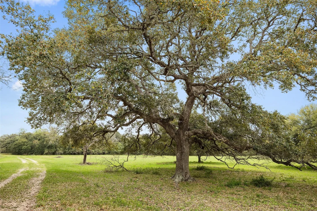 Photo of 778 County Road 123