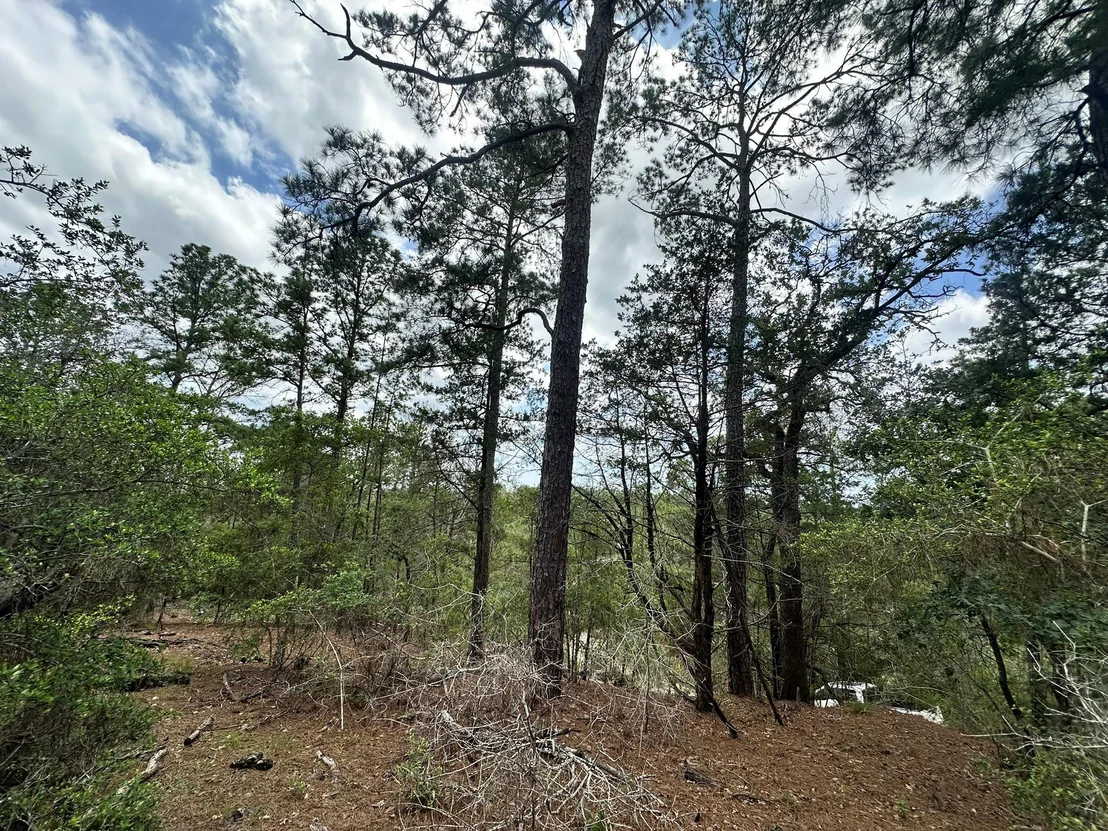 Photo of 217 Helemano DR
