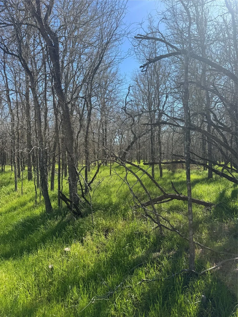 Photo of Lot 500 Kaaawa LN