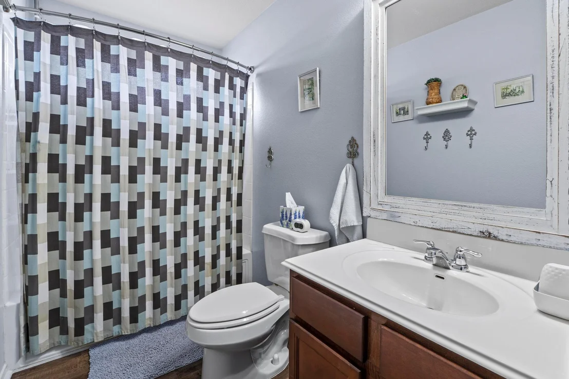 Photo of 344 Housefinch LOOP