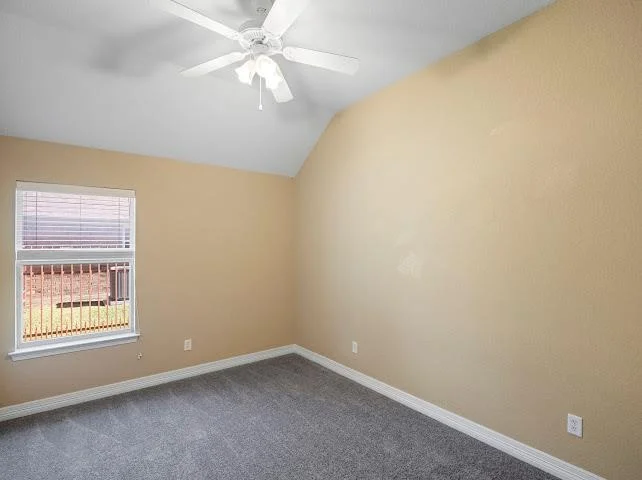 Photo of 306 Bareback TRL