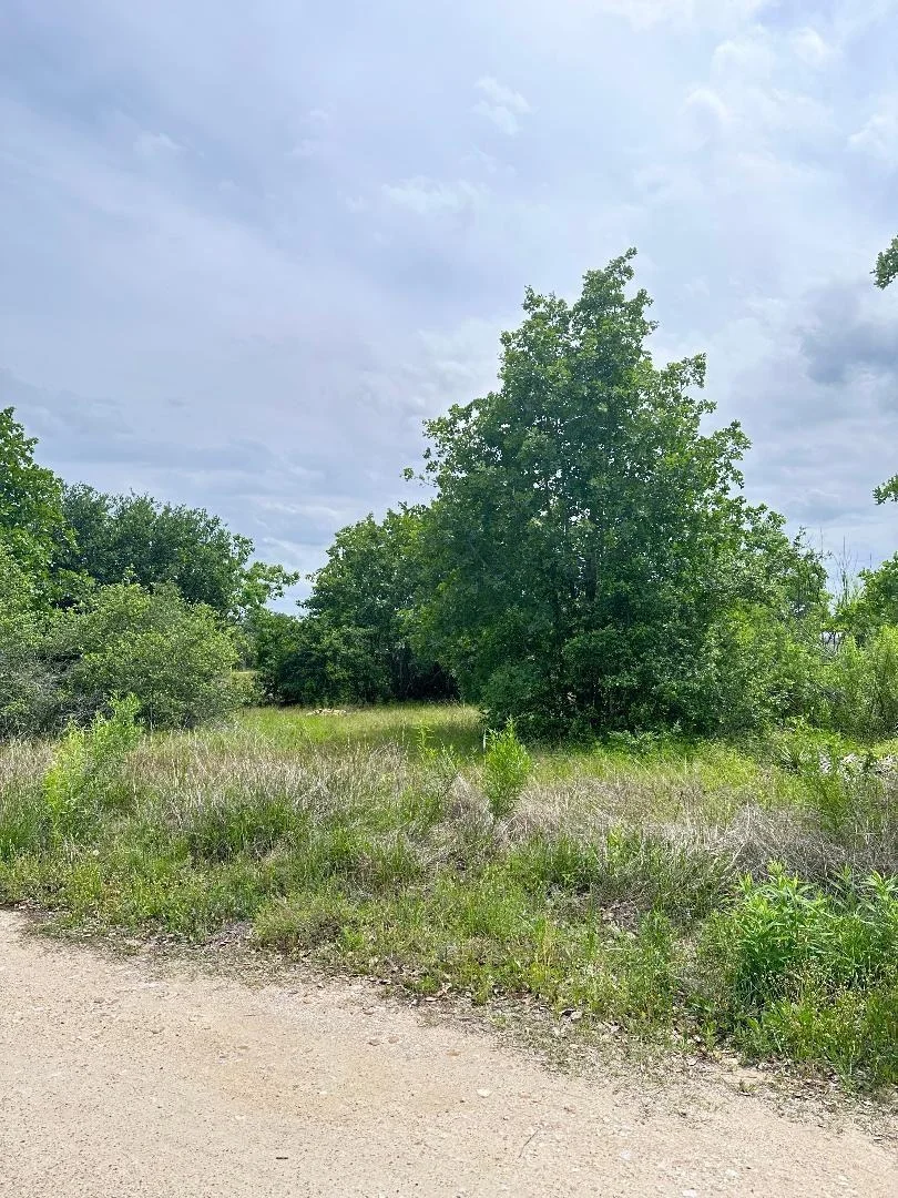 Photo of 136A Wild Bird LOOP