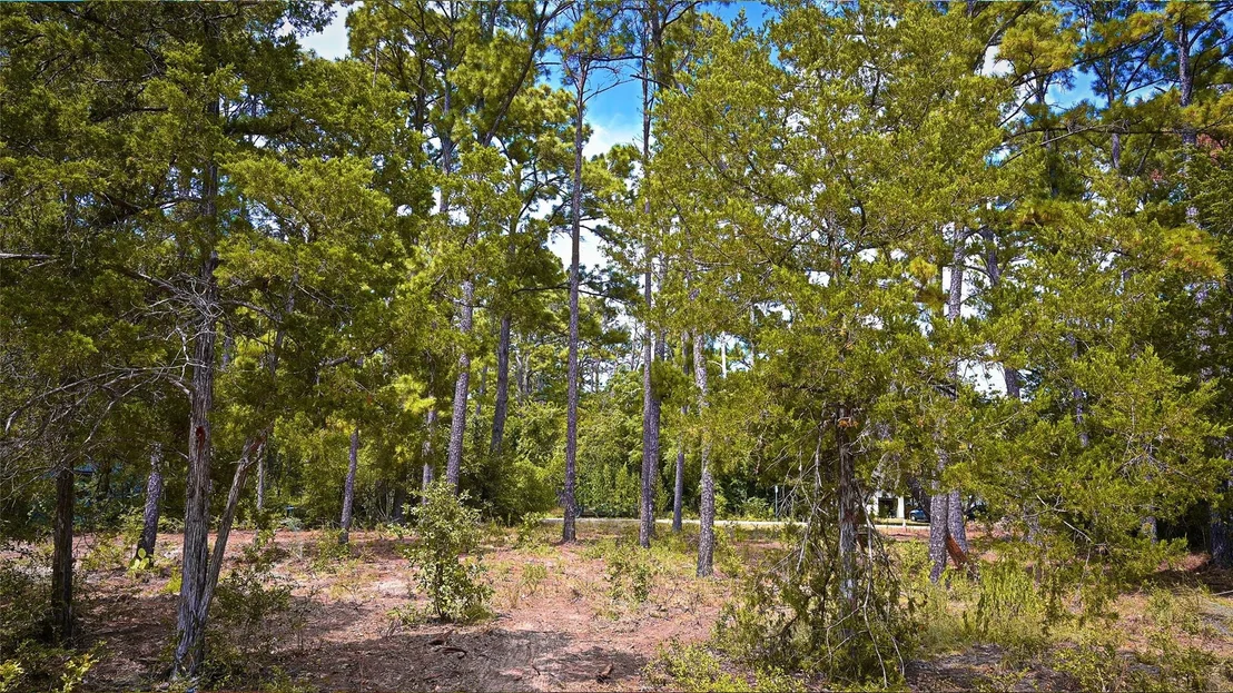 Photo of TBD Modock DR