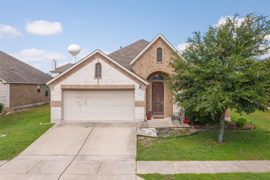 Photo of 258 Snow Owl HOLW